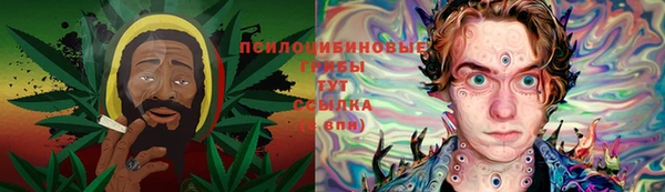мдма Краснослободск