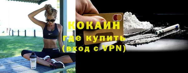 молекула духа Лабытнанги