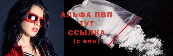 индика Барнаул