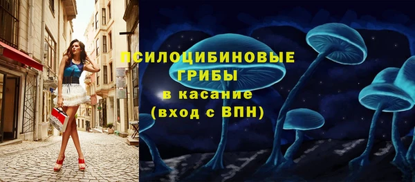 spice Лагань